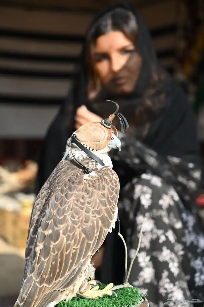 مصورة 37