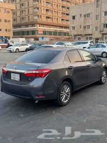 كداد مشاوير شقراء 0