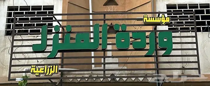 وصلتنا تشكيلة جديدة من النباتات الداخلية والخارجية 1