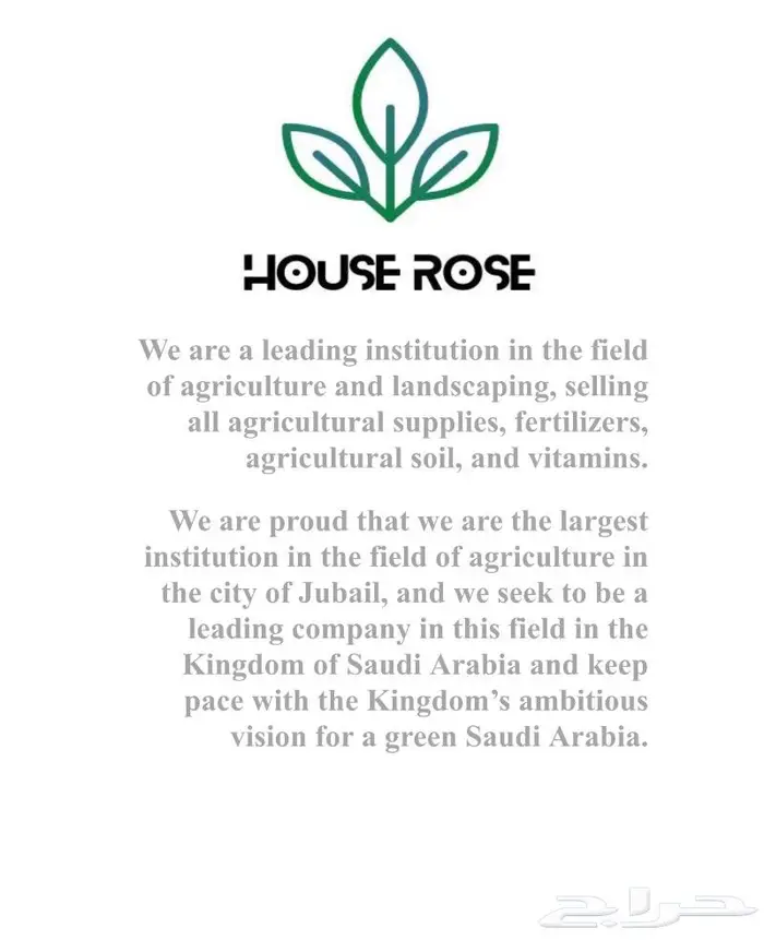 وصلتنا تشكيلة جديدة من النباتات الداخلية والخارجية 0