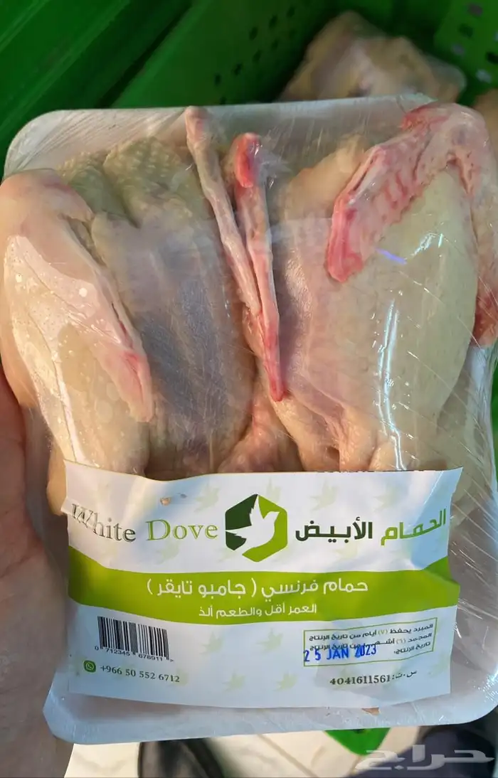 للمسوقين زغاليل حية حمام فرنسي لاحم سوبر جامبو 0