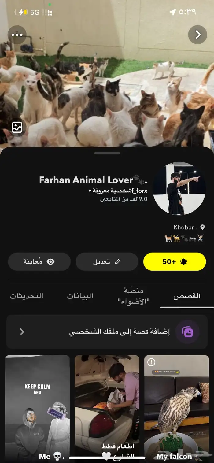 حساب خاص لتبني وانقاذ ومفقود الحيوانات 2