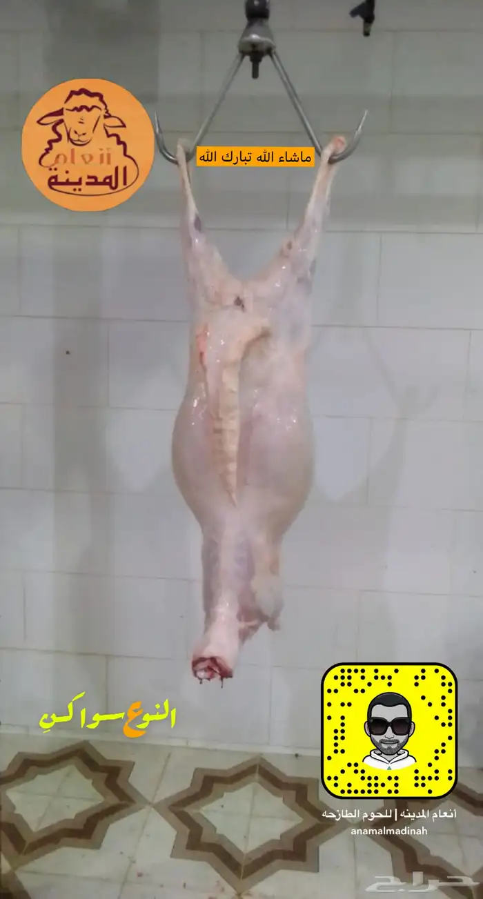 ذبائح مع خدمة الذبح و التوصيل 7