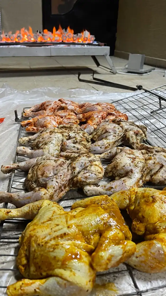 شواية ومنقل رحلات متعدد الاستخدام 2 في 1 18