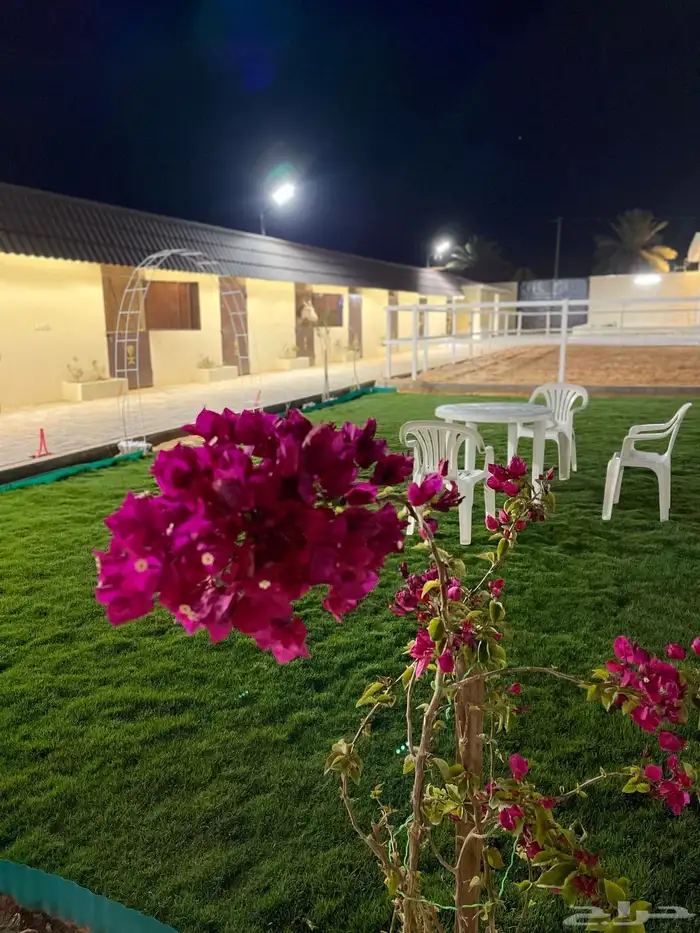 شالية ومربط 7