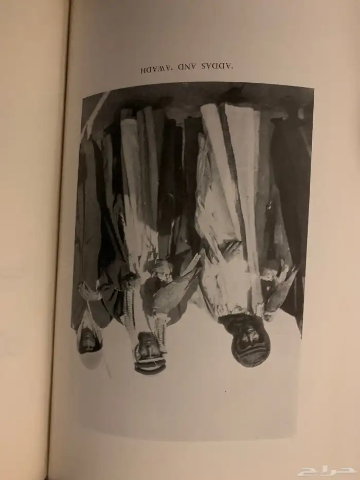 كتاب عرب الصحراء النسخة الأصلية 23