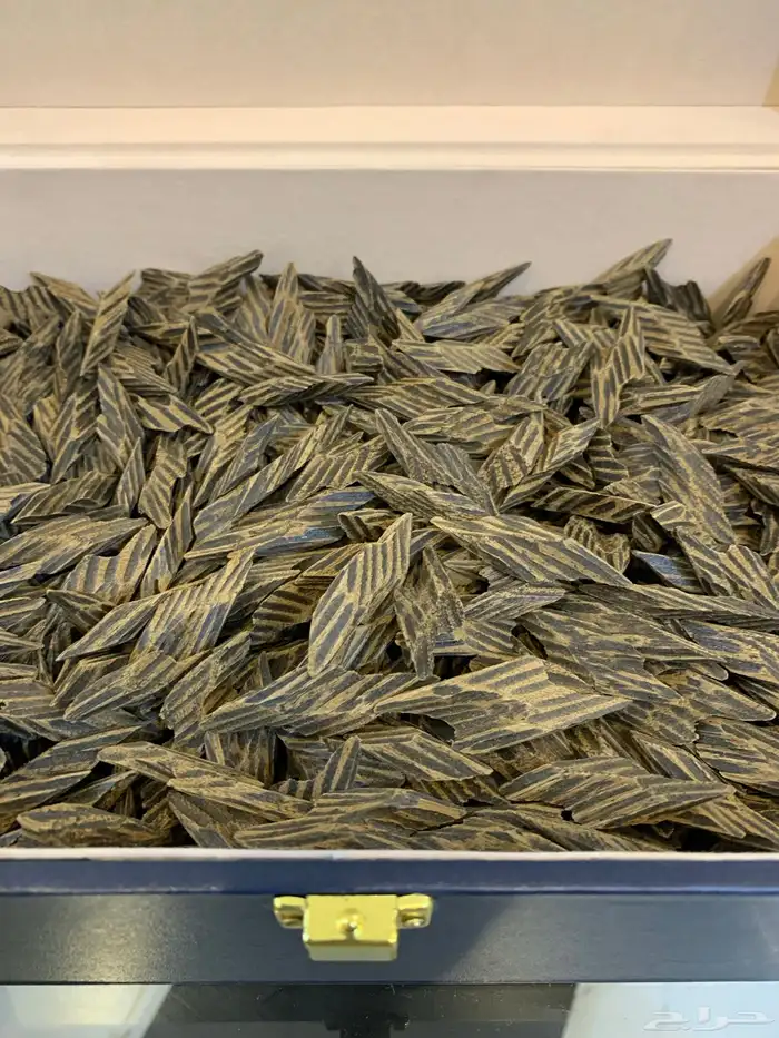 عود كمبودي تايقر درجة أولى جملة وتجزئة 0