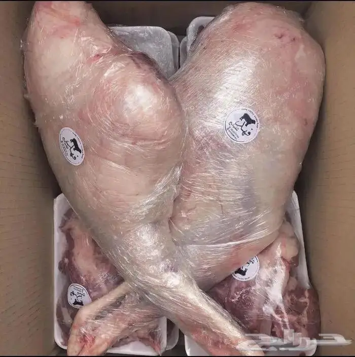 ذبائح نعيمي حري 1