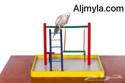 أقفاص العاب غذاء سيريلاك طيور ببغاء زينة 26