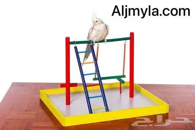 أقفاص العاب غذاء سيريلاك طيور ببغاء زينة 30