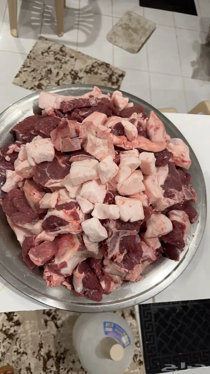 مجالس وضيافات 28