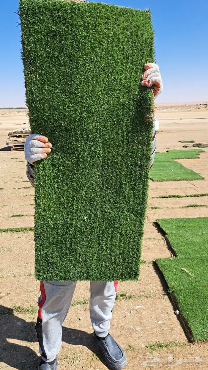 ثيل cl2000 الخرج نخل وشنطونيه 78