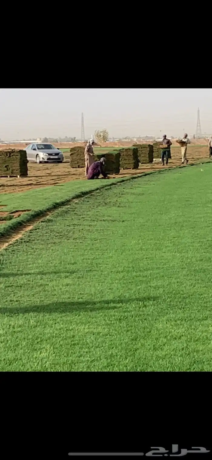 ثيل cl2000 الخرج نخل وشنطونيه 69