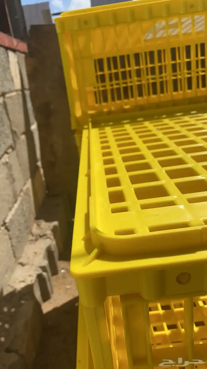 اقفاص نقل دجاج وحمام للأيجار 3