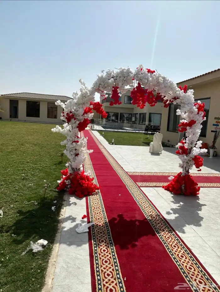 تاجير كواش 3