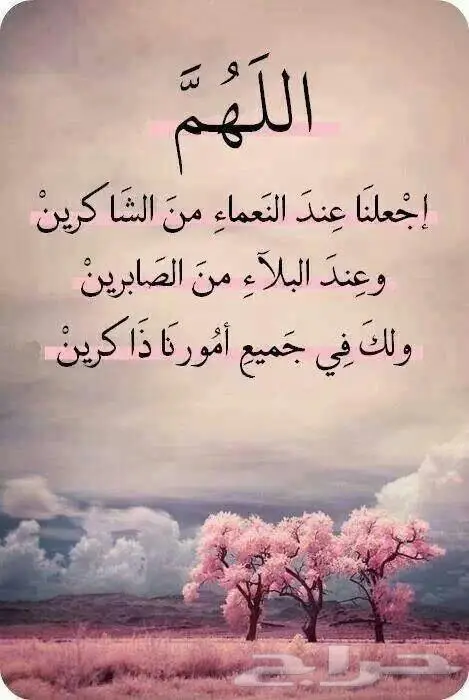 حلا تونسي روعة تخفيضات 5