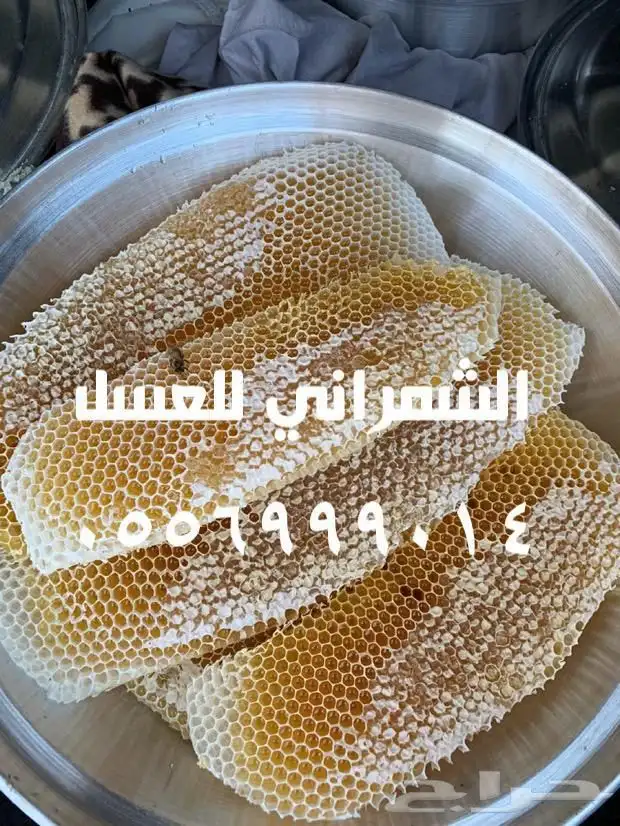 عسل عسل عسل سدر اصلي مضمون على المختبر 3