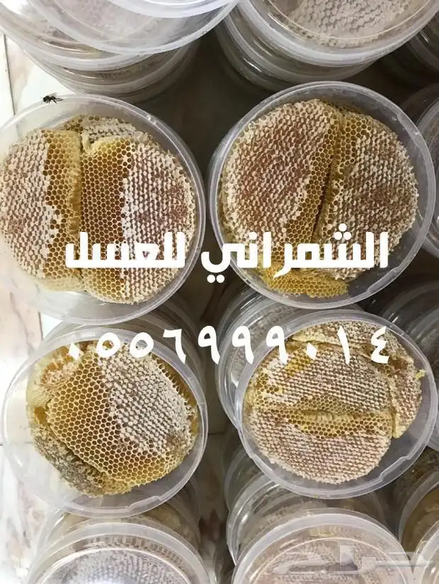 عسل عسل عسل سدر اصلي مضمون على المختبر 8