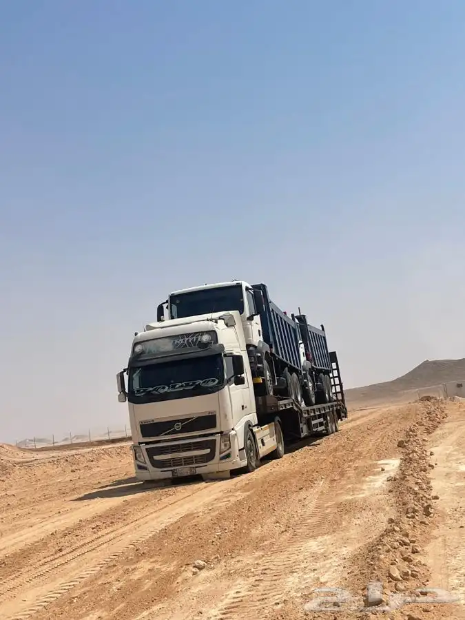 لوبد في القصيم لوابد القصيم 1