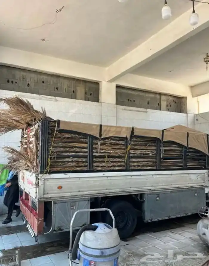 سعف نخل جريد توصل إلي جميع انحاء المملكة 0
