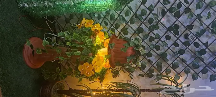 نافورة وردة الشمس 0