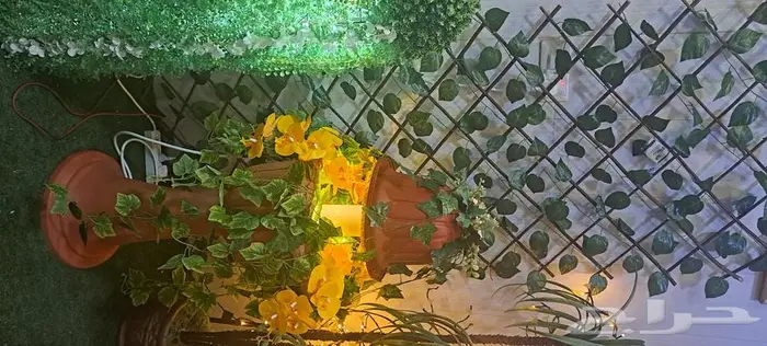 نافورة وردة الشمس 1