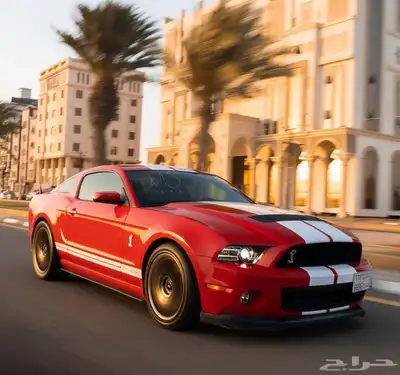كبوت موستنج شيلبي 2014 1
