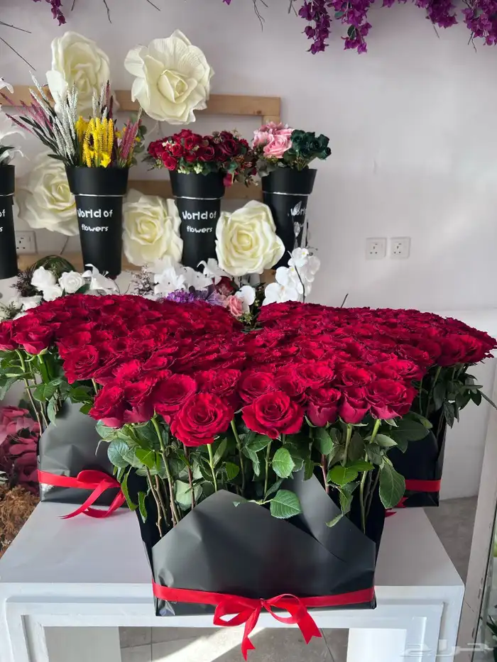 كوش افراح ومداخل للعيد 7