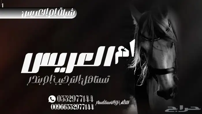 منشد شيلات بالاسماء   شيلات زواج _شيلات تخرج 6