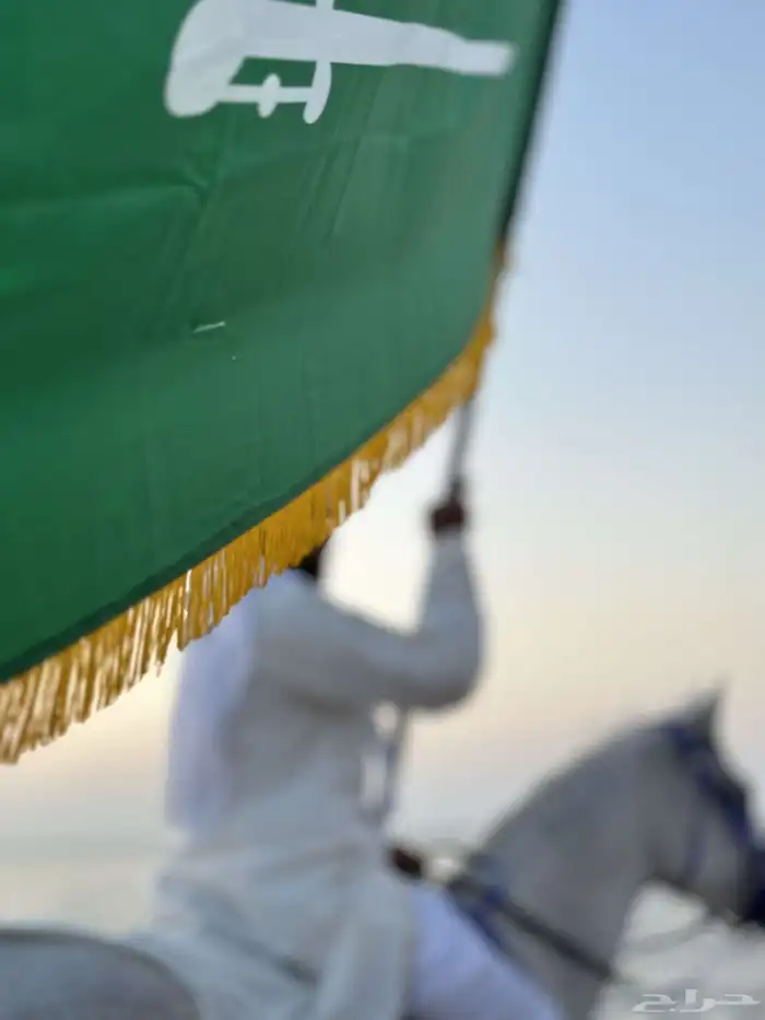رحلات وإيجار خيول على البحر 1