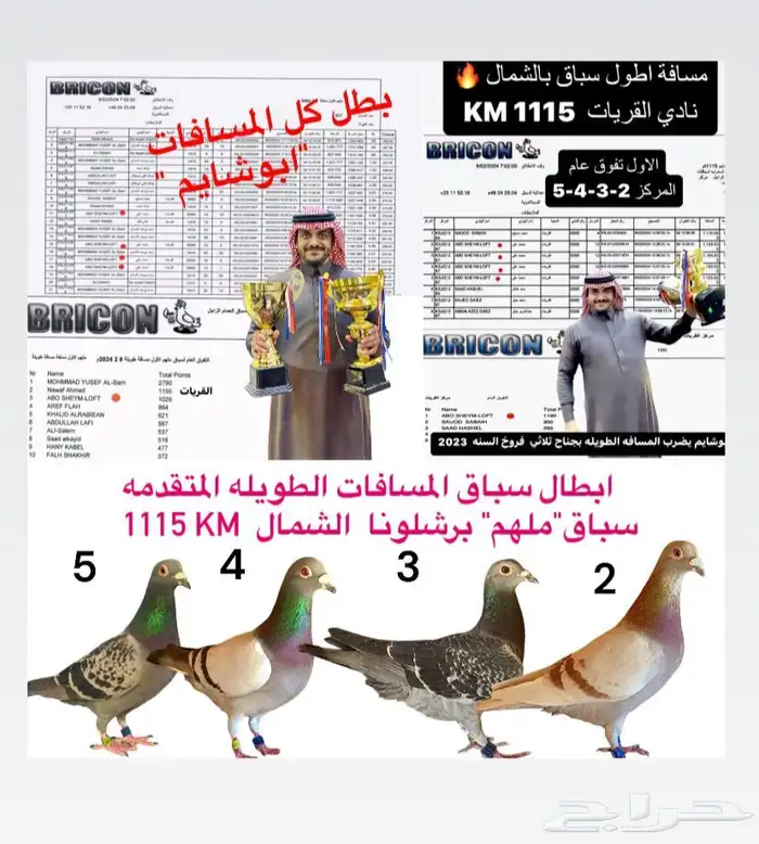 زاجل 1115 كيلو سباق كل المسافات 0