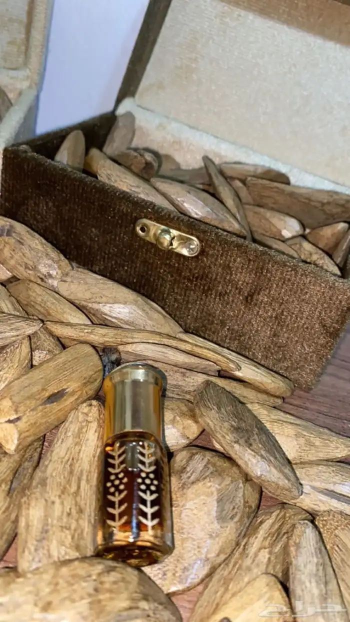 عود مروكي دبل سوبر 2