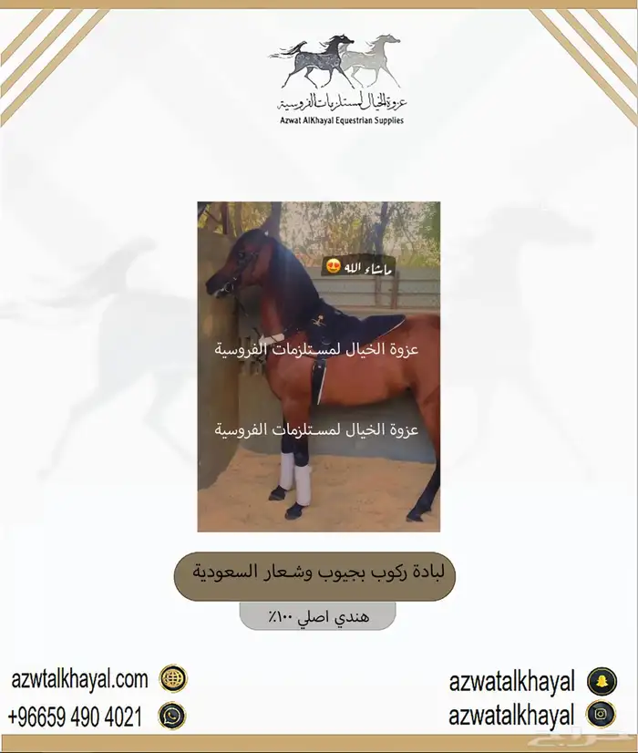 سرج ستيتوس عندنا اقساط 10