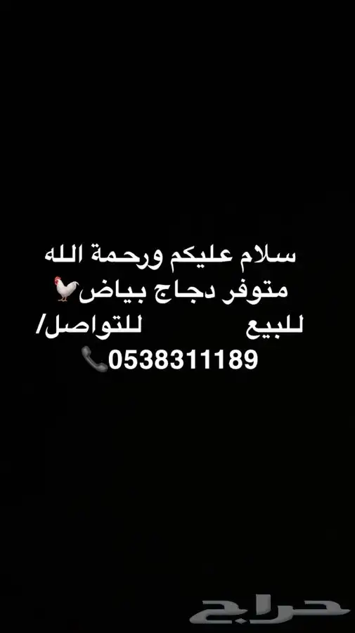 اعلان عن دجاج بياض 0