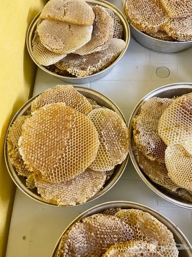 عسل بلدي من عسير رجال المع منحل عسل بلدي يوجد جملة 2