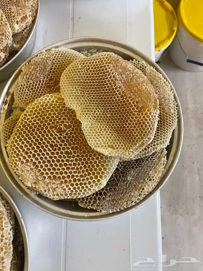 عسل بلدي من عسير رجال المع منحل عسل بلدي يوجد جملة 1