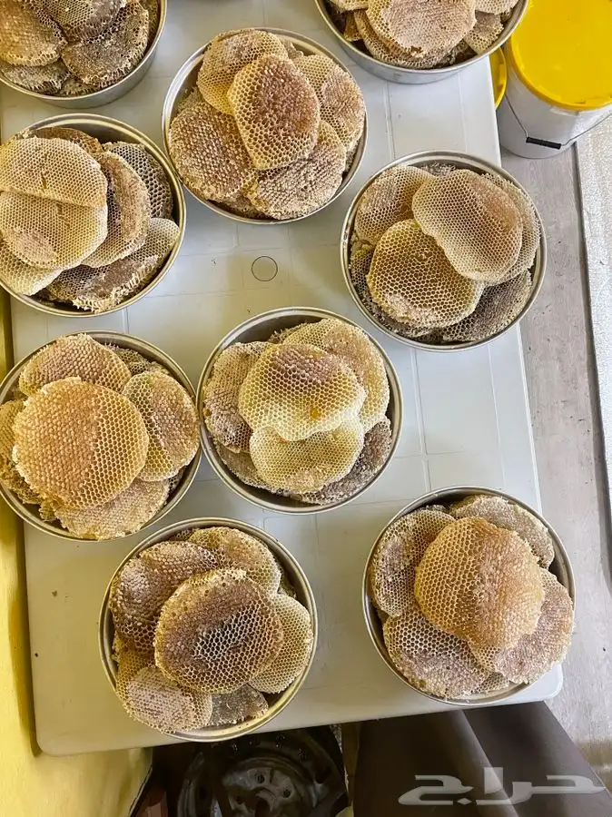 عسل بلدي من عسير رجال المع منحل عسل بلدي يوجد جملة 3