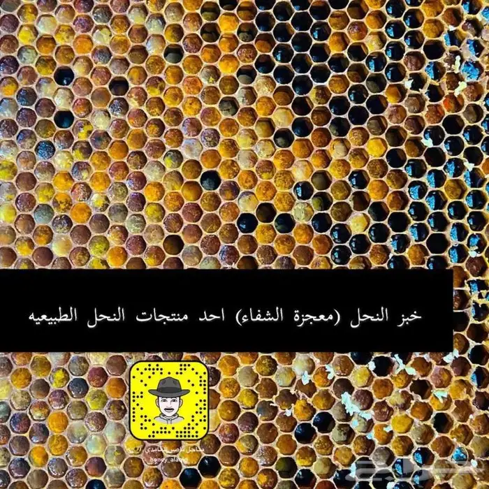 خلطة العسل الطبيعيه للتقوية 3