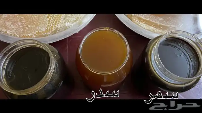 عسل بلدي من عسير رجال المع منحل عسل بلدي يوجد جملة 0
