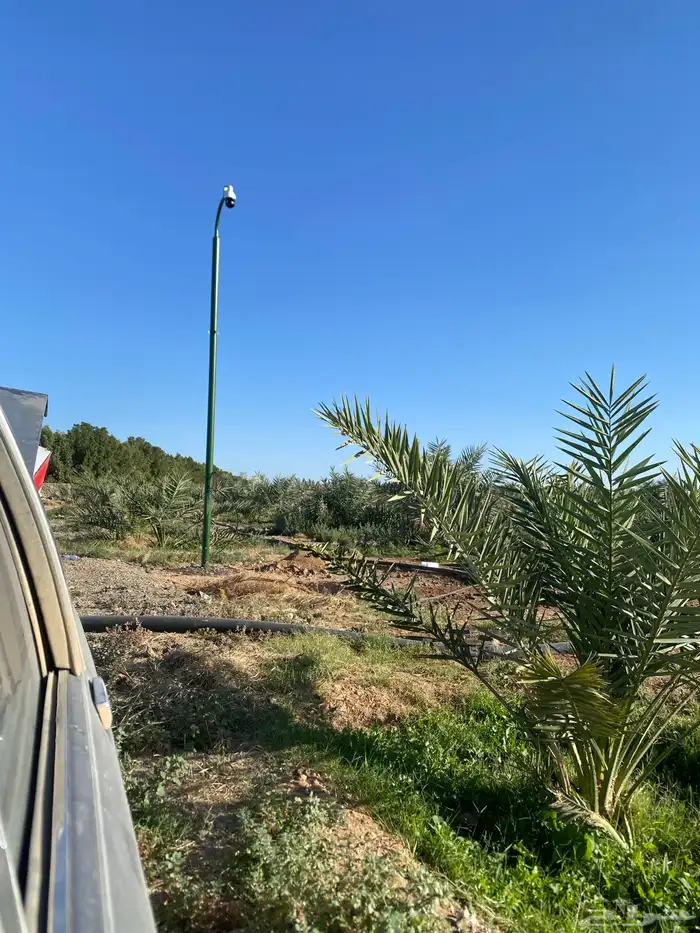 فني كاميرات 1