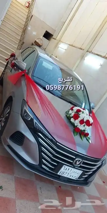 عروض على كوش الافراح 23