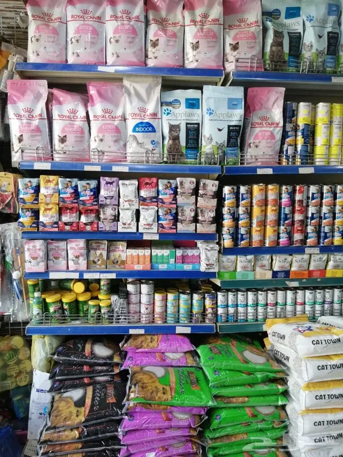 اكل قطط هريرة ورمل محل نوادر 6