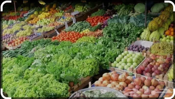 توريد خضار وفواكه سعر جملة 0