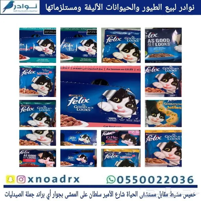 اكل قطط هريرة ورمل محل نوادر 37