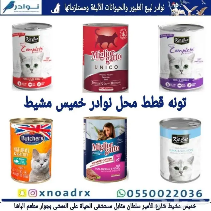 اكل قطط هريرة ورمل محل نوادر 71