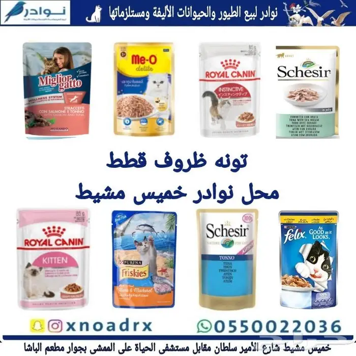 اكل قطط هريرة ورمل محل نوادر 72