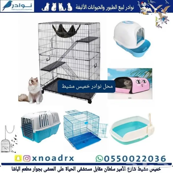 اكل قطط هريرة ورمل محل نوادر 79