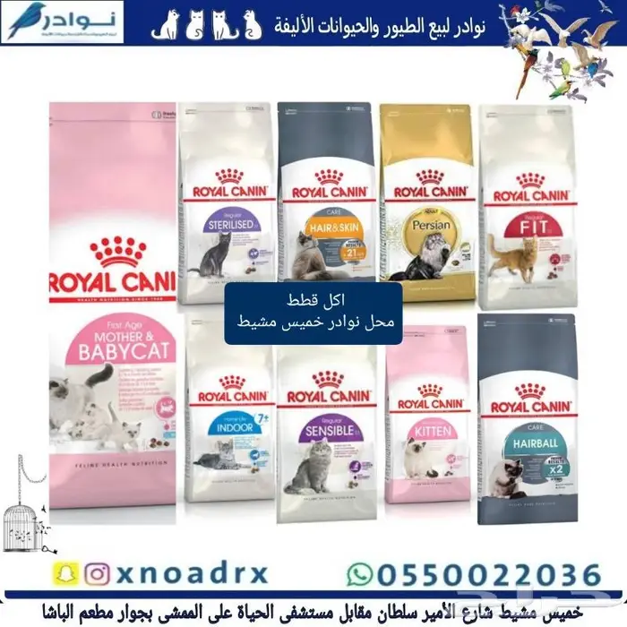 اكل قطط هريرة ورمل محل نوادر 80