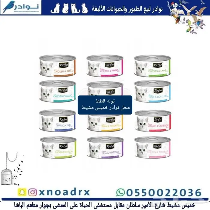 اكل قطط هريرة ورمل محل نوادر 81