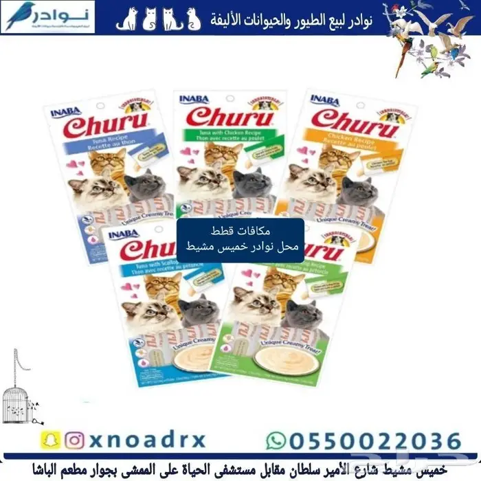 اكل قطط هريرة ورمل محل نوادر 82